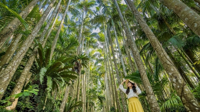 【東南植物楽園入園チケット付プラン】亜熱帯の植物が生い茂る日本最大級の屋外植物園を満喫！（朝食付）